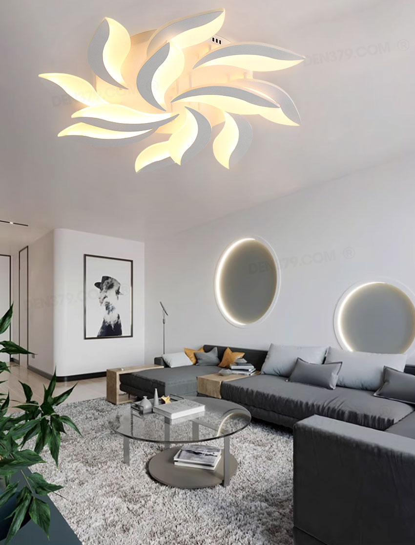 Đèn ốp trần trang trí C930/12