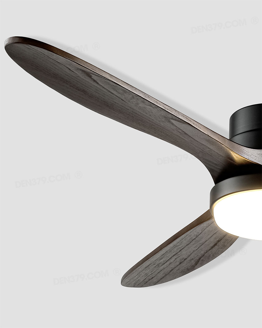 Quạt đèn VRG2011