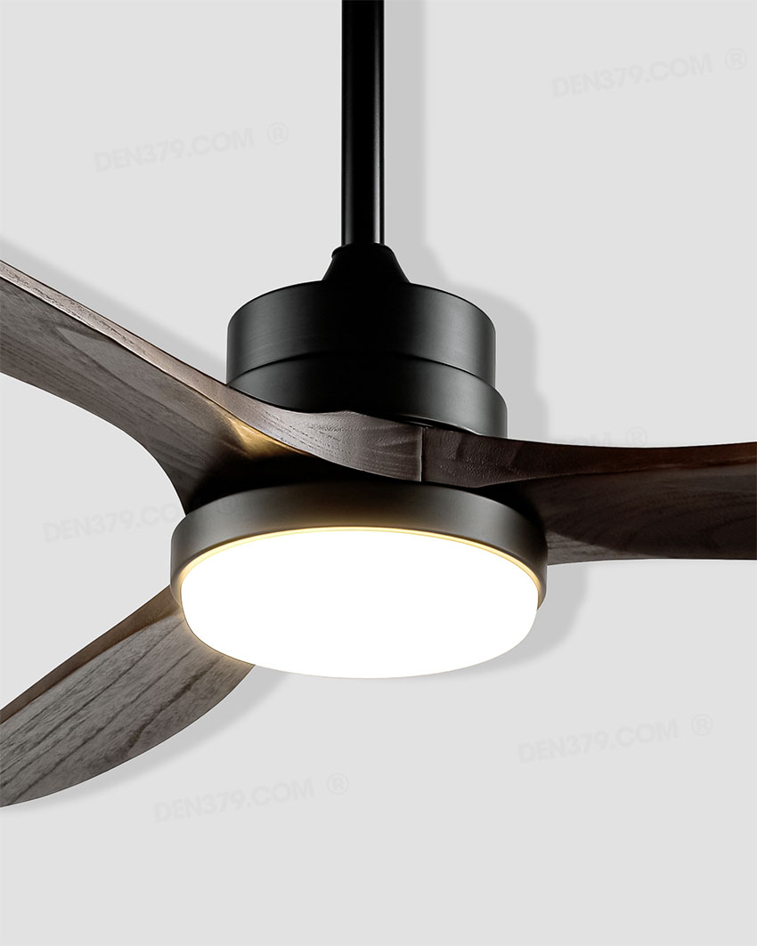 Quạt đèn VRG2011