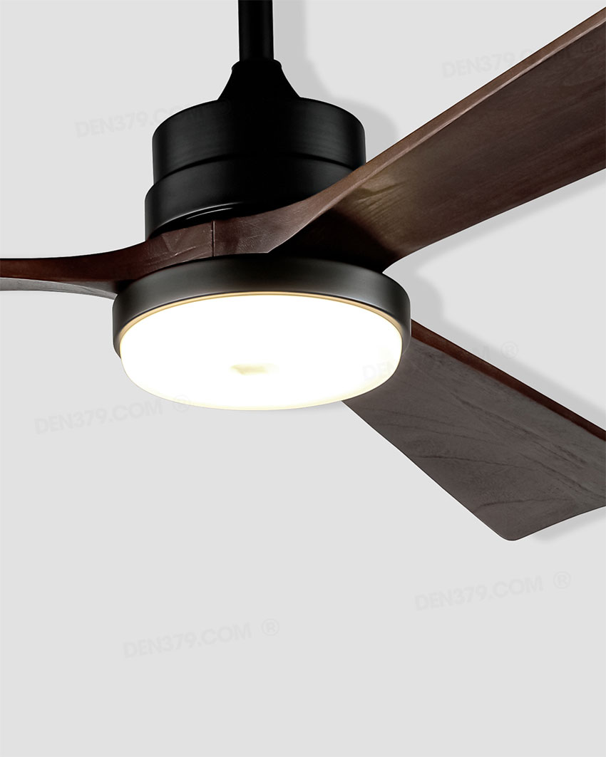 Quạt đèn VF2010S