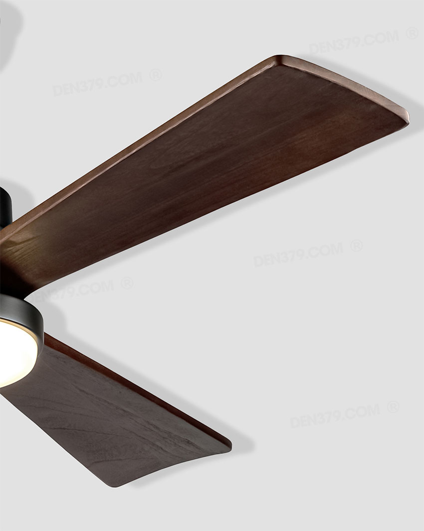 Quạt đèn VF2010S