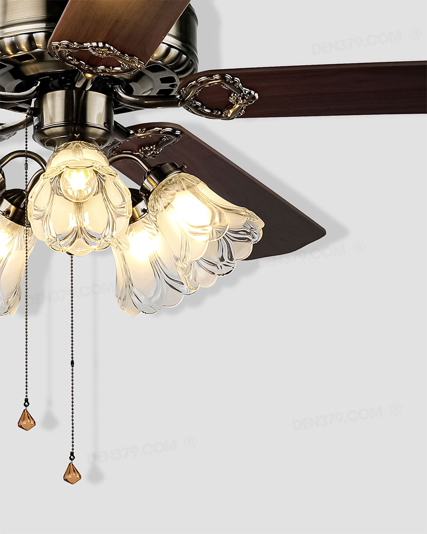 Quạt đèn VF5213D