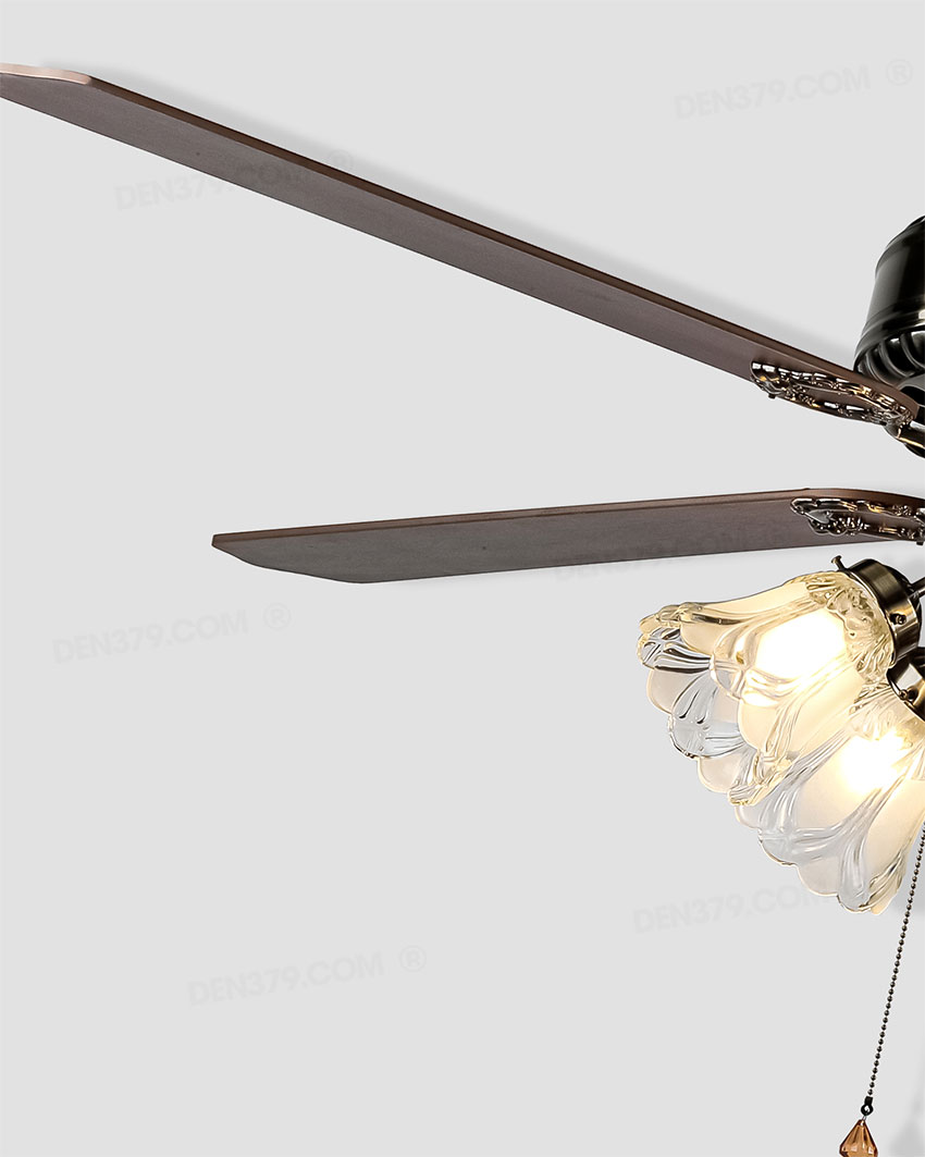 Quạt đèn VF5213D