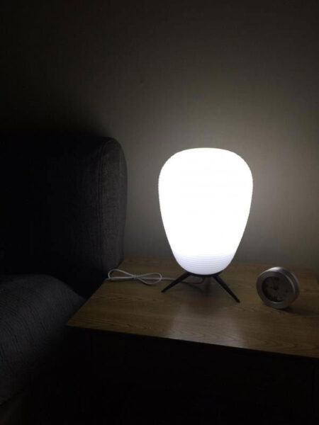 Đèn để bàn hiện đại VS14101