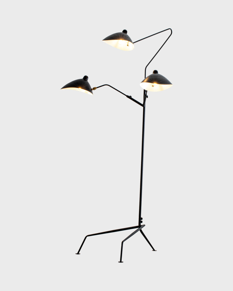 Đèn Cây Hiện Đại Hợp Kim Đen Sang Trọng VRG-XCF3621