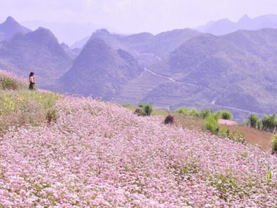 adventure travel Vietnam app_1