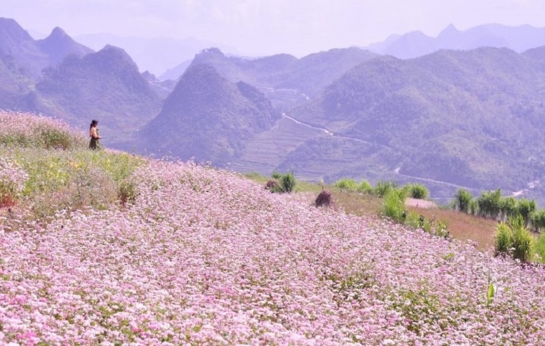 adventure travel Vietnam app_1