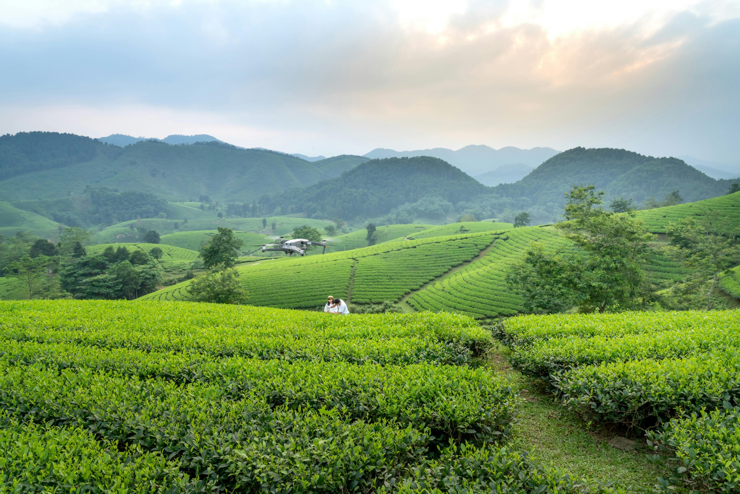 sky farms in Vietnam_thumb