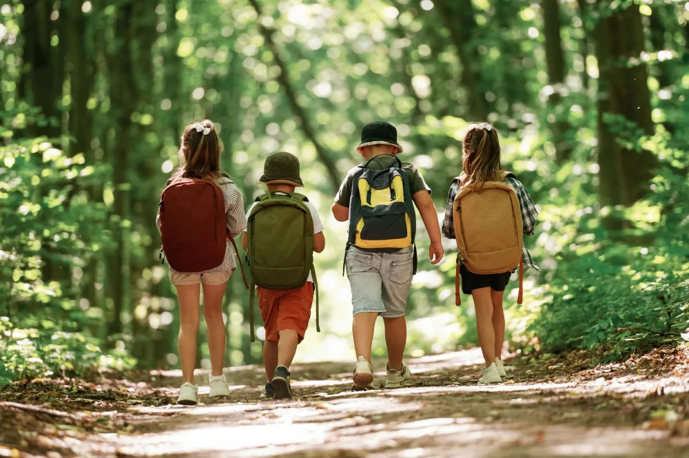 quản lý an toàn học sinh dã ngoại_student field trip safety management_2