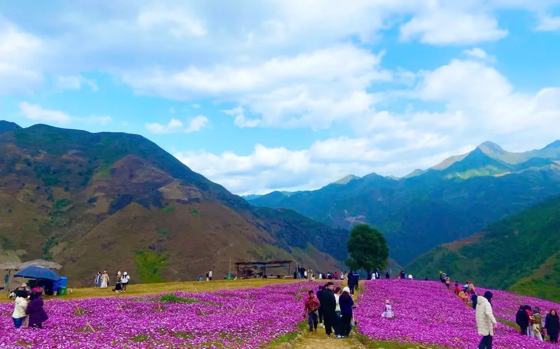 kinh nghiệm du lịch Tà Xùa_Ta Xua travel guide_2