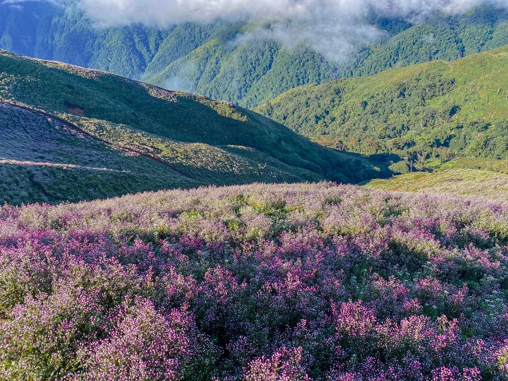 kinh nghiệm trekking Tà Chì Nhù_Ta Chi Nhu trekking guide_4
