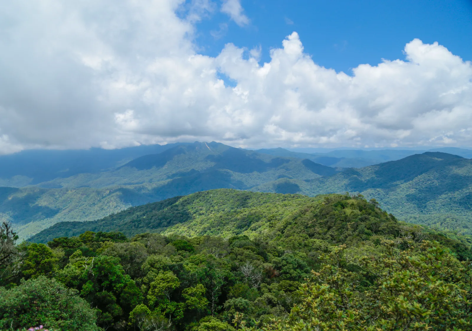 cung trekking đẹp nhất Việt Nam_best hikes in Vietnam_9