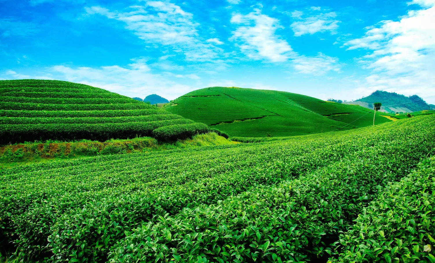 Yen Bai trekking_1.jpg