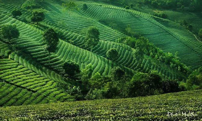Yen Bai Trekking_4.jpg