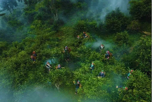Yen Bai trekking_5.jpg