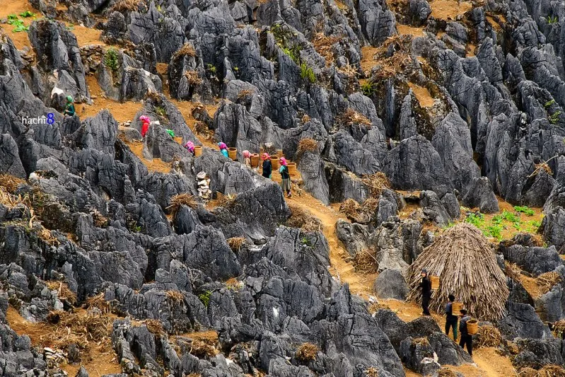 Dong Van Karst Plateau Trekking_3.jpg