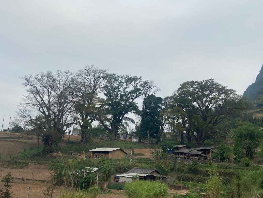 làng cổ Thiên Hương