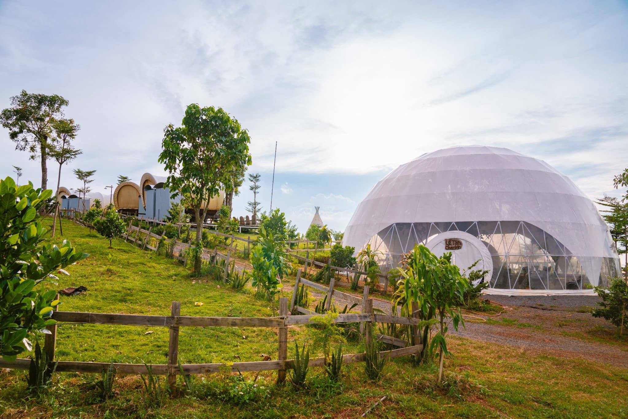 glamping-in-vietnam-3.jpg
