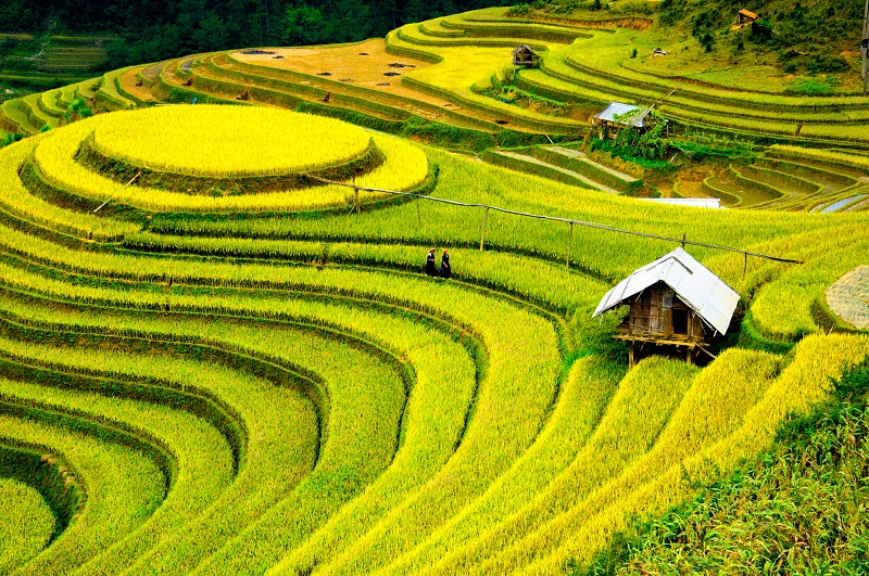 kinh nghiệm trekking lào cai