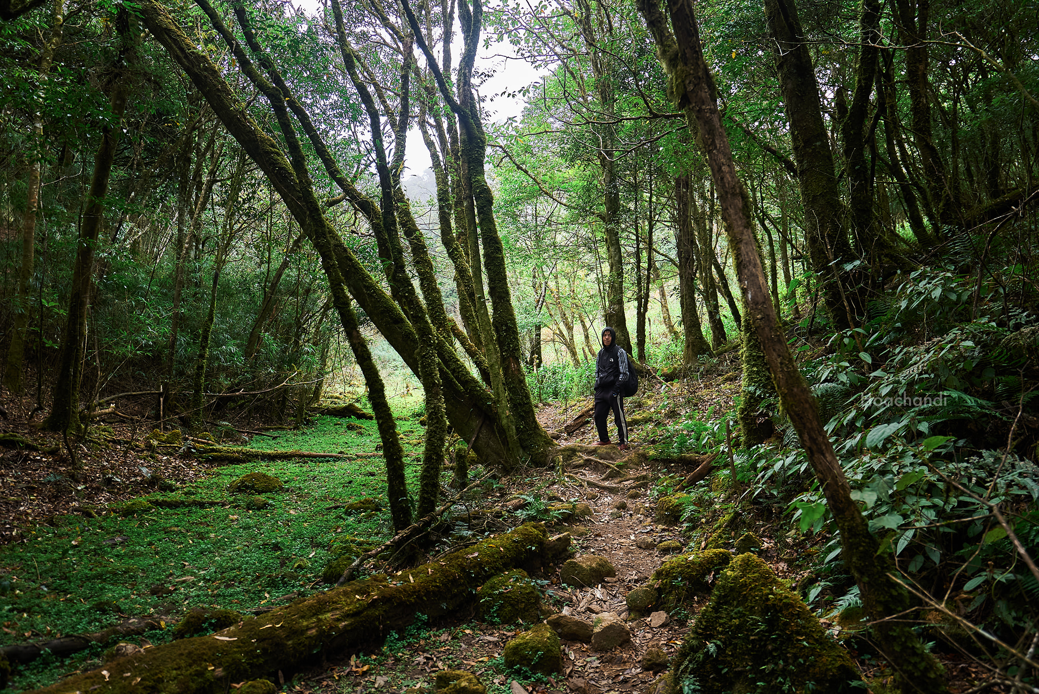 Ta Xua trekking