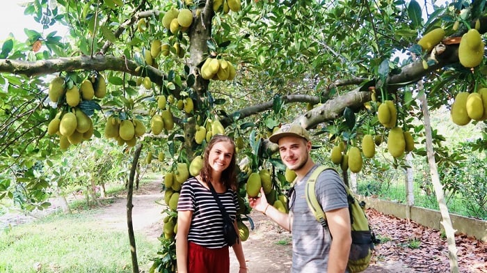 vietnam-fruit-3 vietnam-fruit-3.jpg