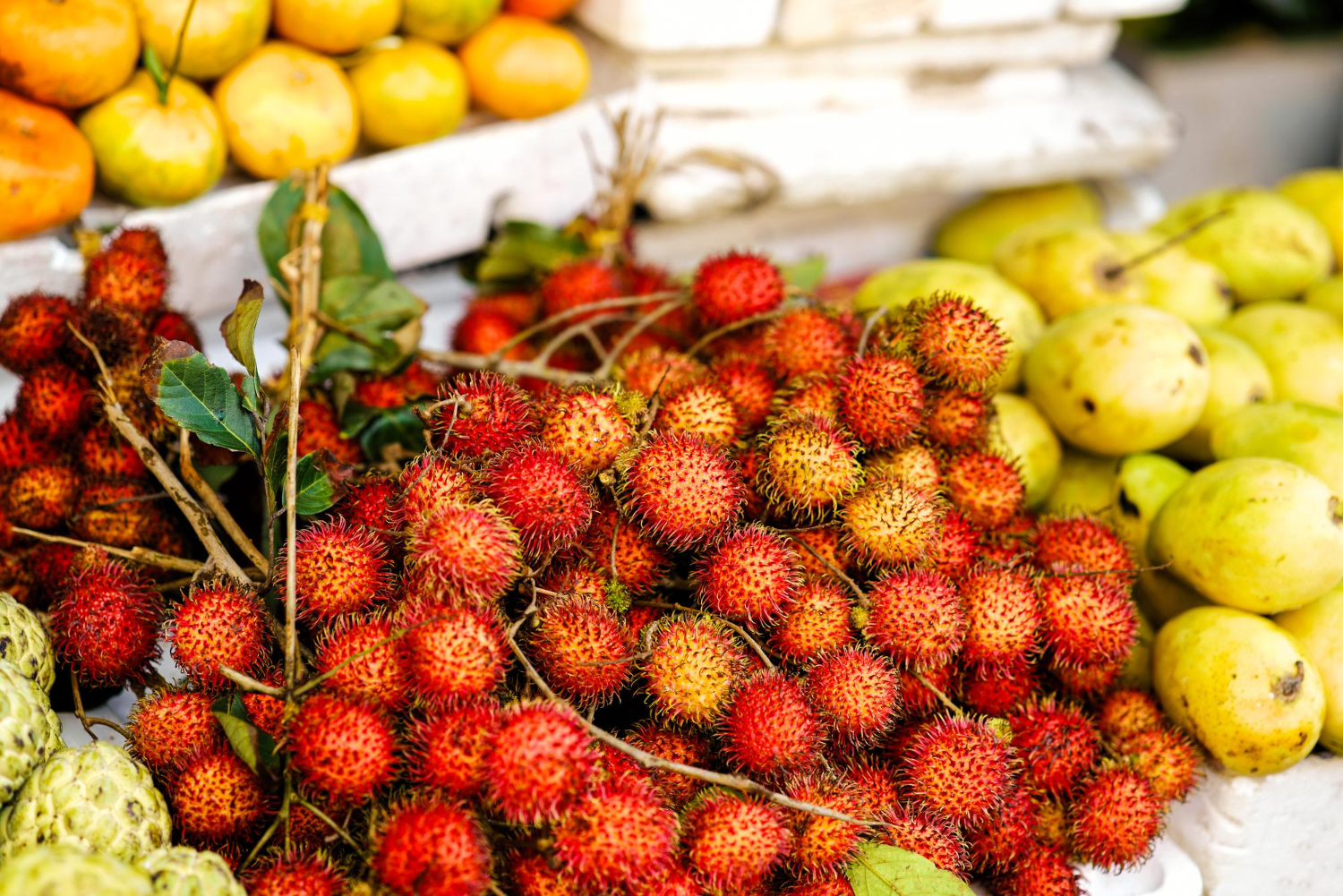 vietnam-fruit-4 vietnam-fruit-4.jpg