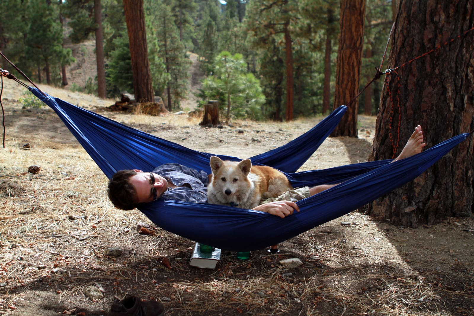 camping with pets in Vietnam_1-min