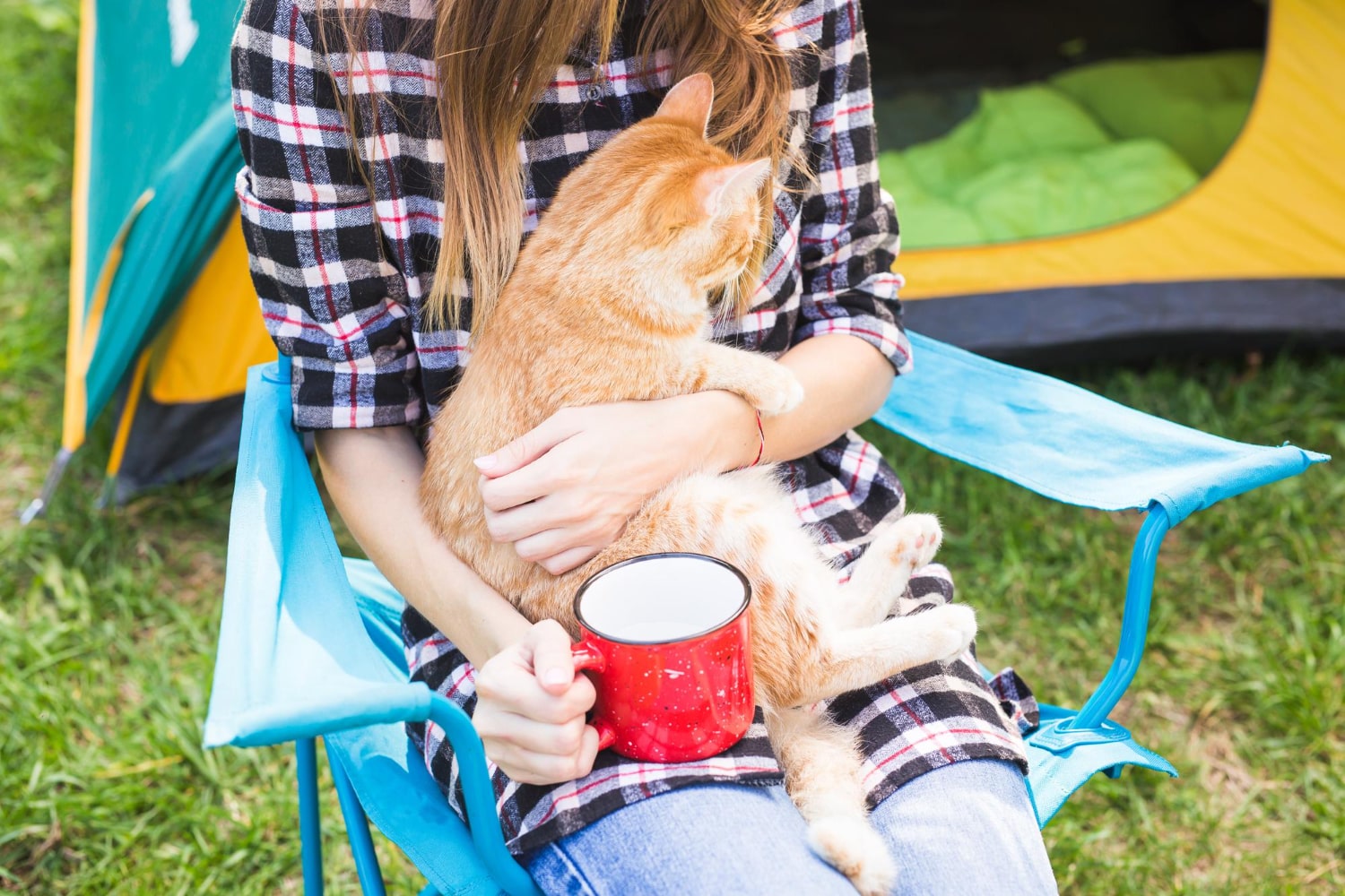 camping with pets in Vietnam_4-min