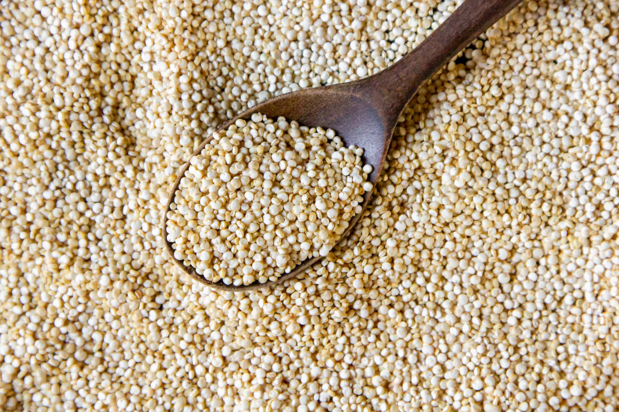 health benefits of seeds_7-min