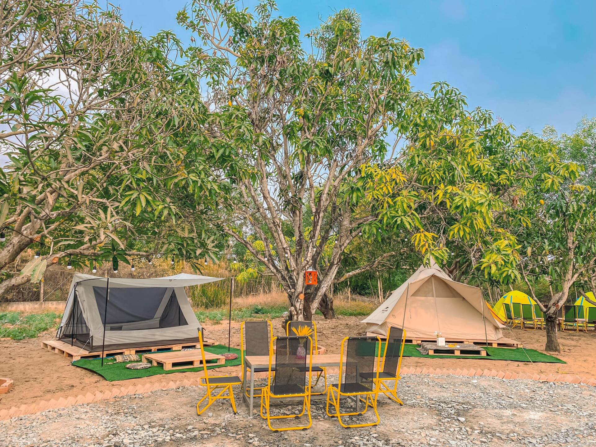 outdoor camping in Vietnam_5