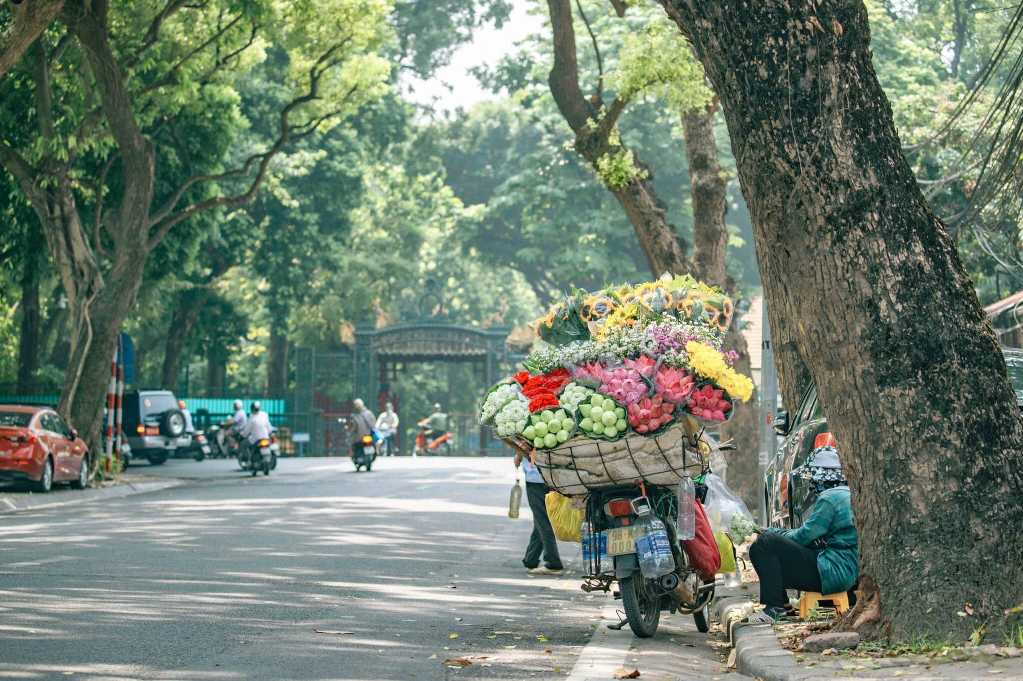 du lịch Việt Nam tự túc_1