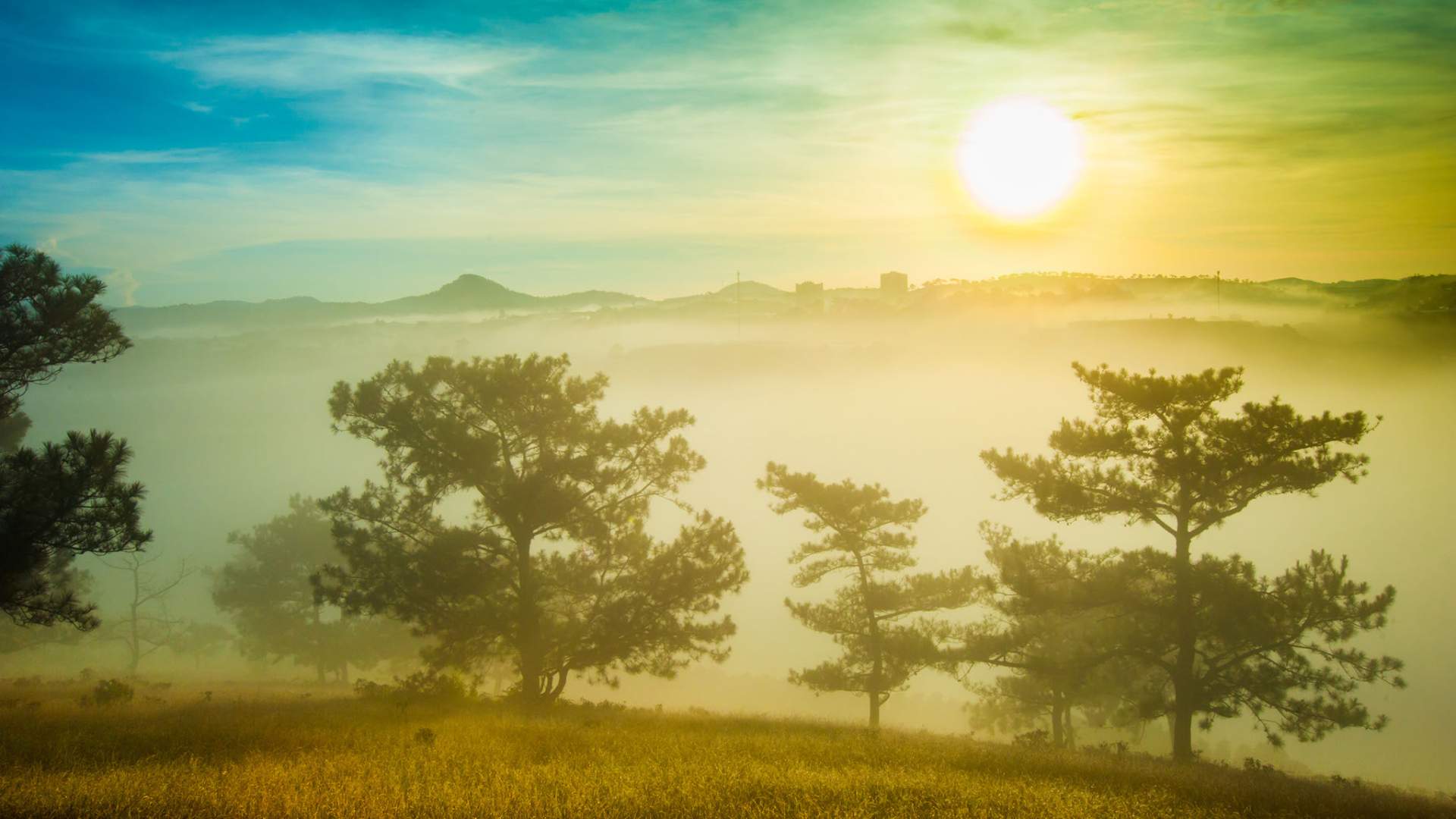 view săn mây Đà Lạt