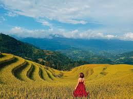 best time to visit Vietnam_5