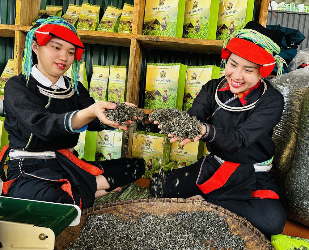 Vietnamese herbal medicine_2