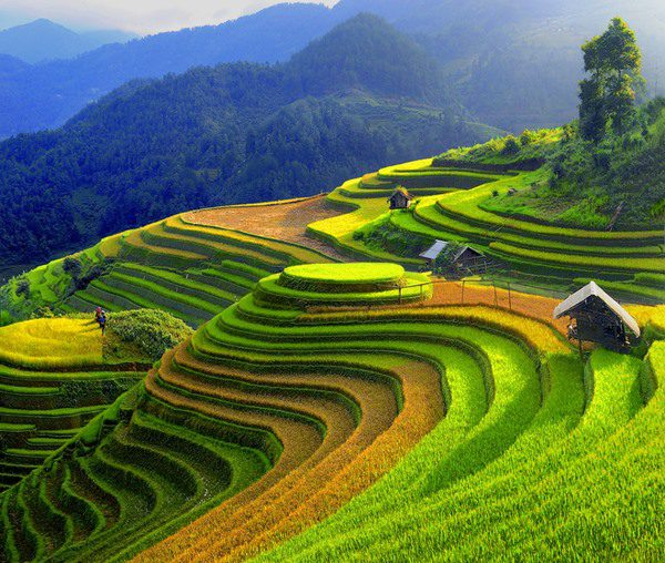 most instagrammable places in Vietnam_1