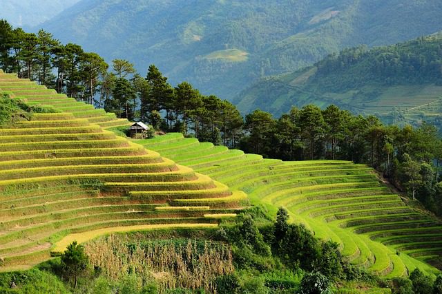 slow travel in Vietnam_4