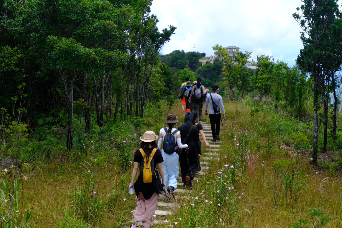 Go together on atrip, how to track my team on a trail - TrackMate
