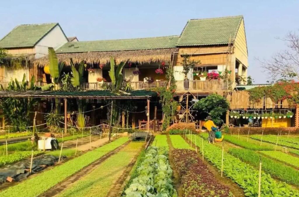 hoạt động ở Hội An cho gia đình