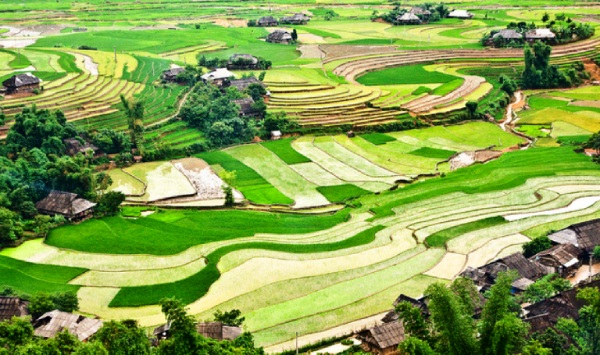 Du lịch sinh thái Mù Cang Chải