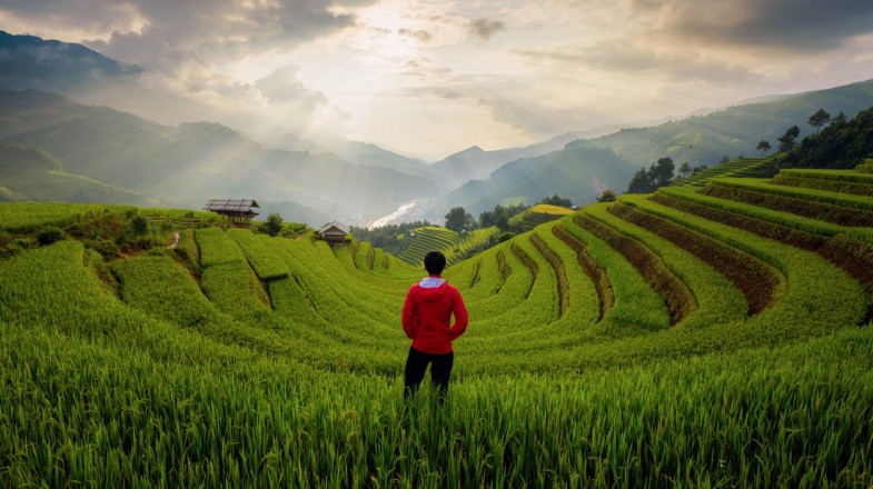 đi bộ chữa lành ở Việt Nam