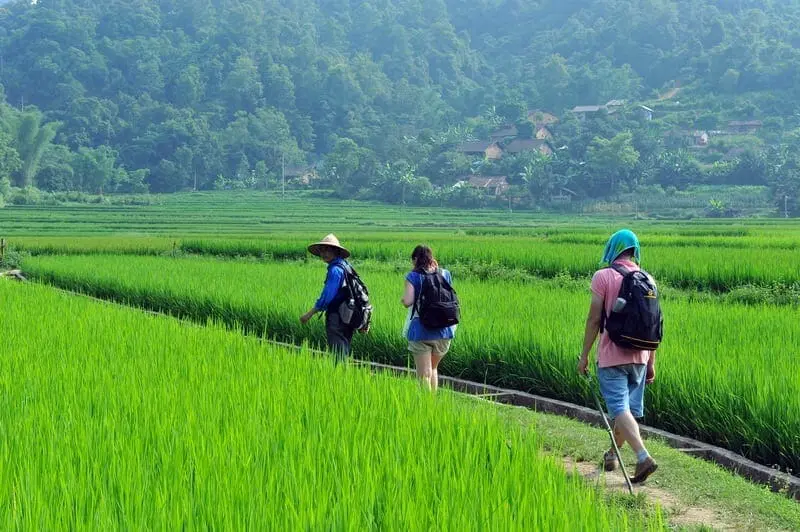 hiking for mental clarity_3
