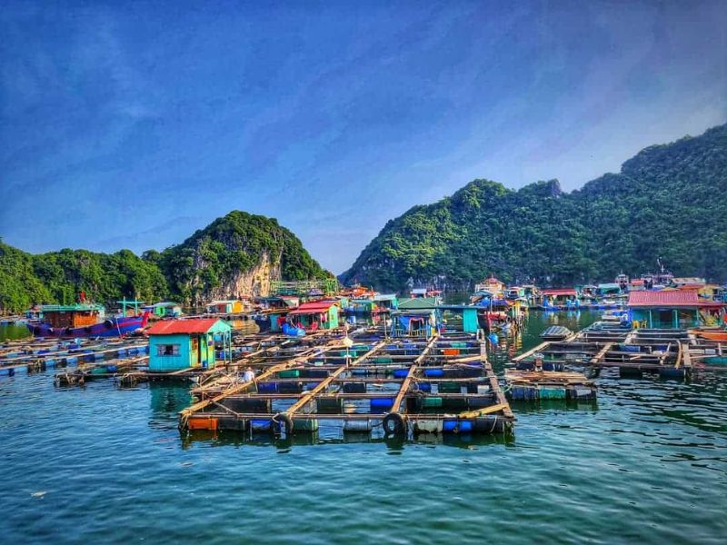 things to do in Ha Long Bay with kids_3