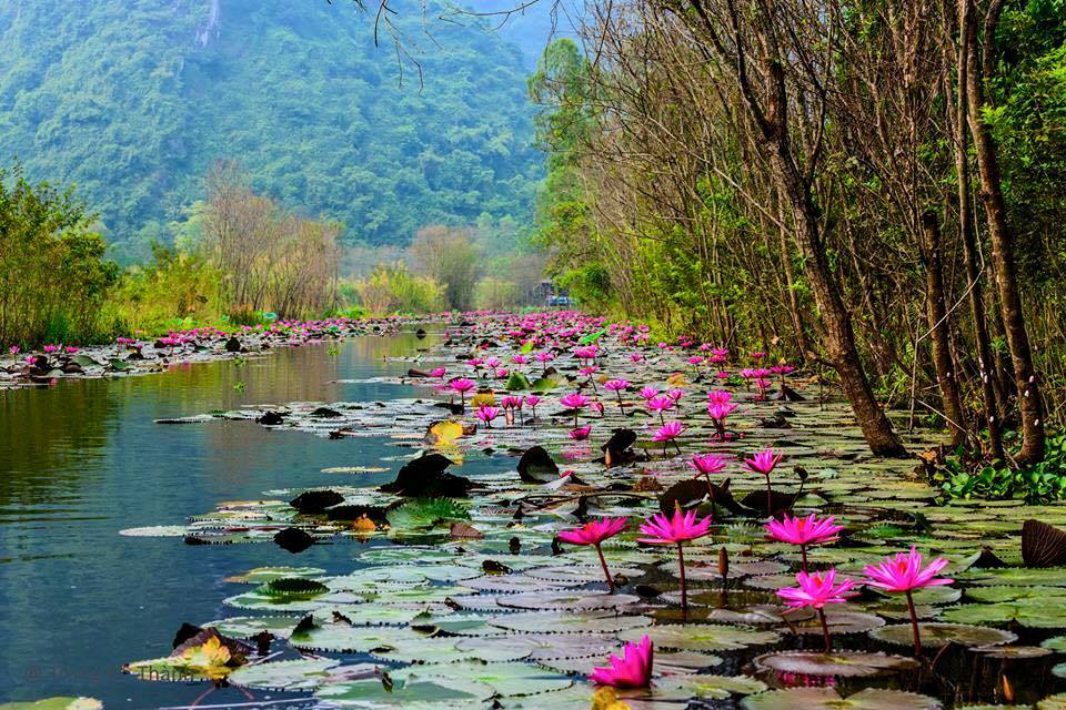 underrated hiking trails in Vietnam_1_đường mòn ít người biết ở Việt Nam