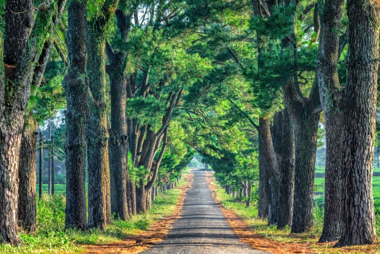 underrated hiking trails in Vietnam_2_đường mòn ít người biết ở Việt Nam