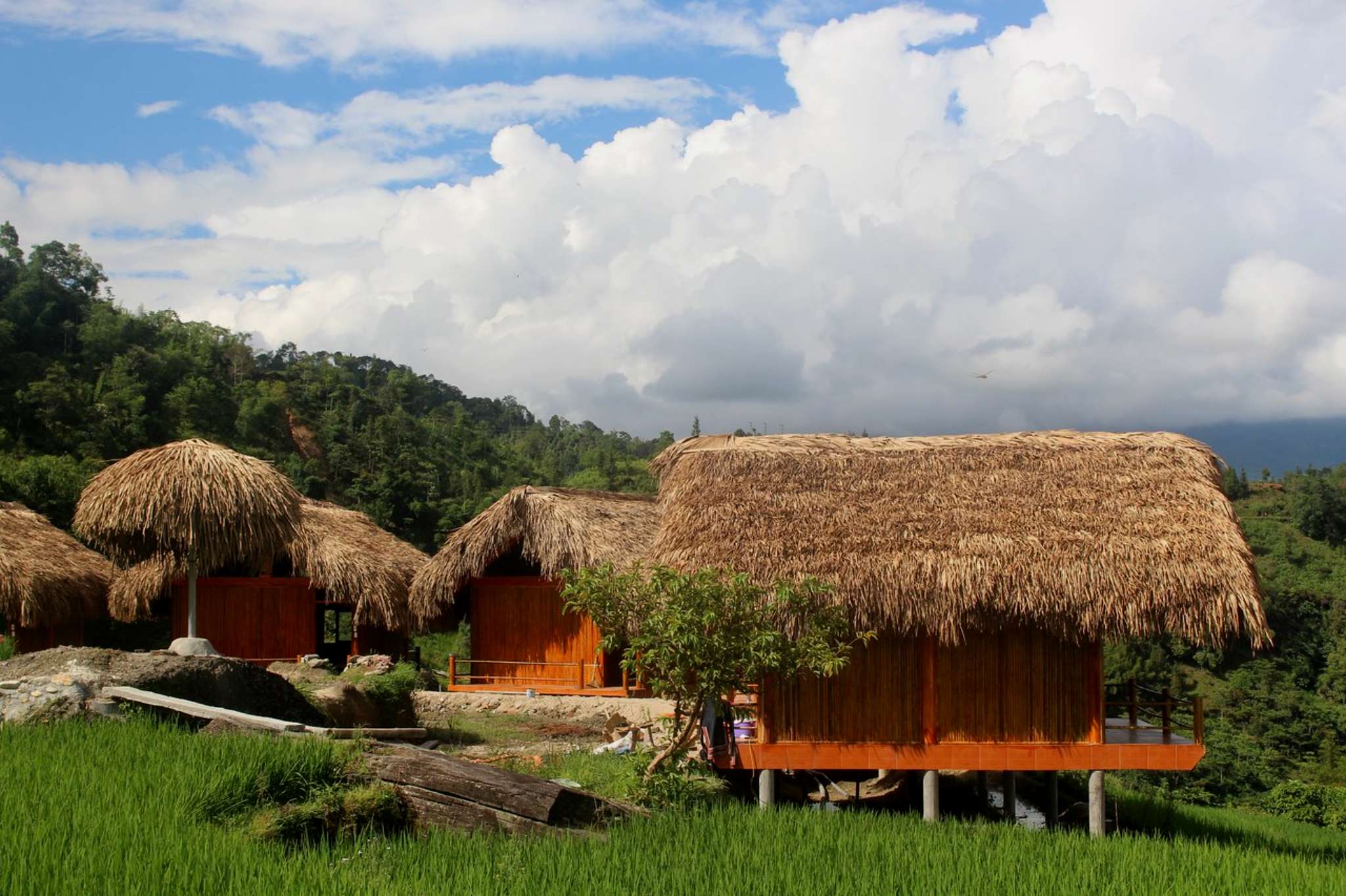 Hoàng Su Phì homestay_4