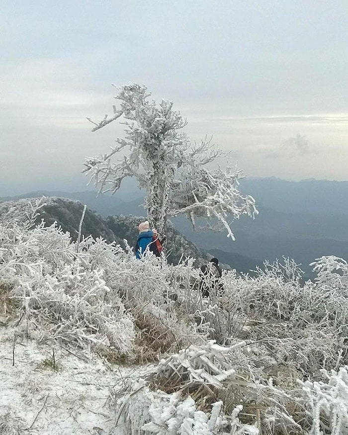 Phia Oắc National Park