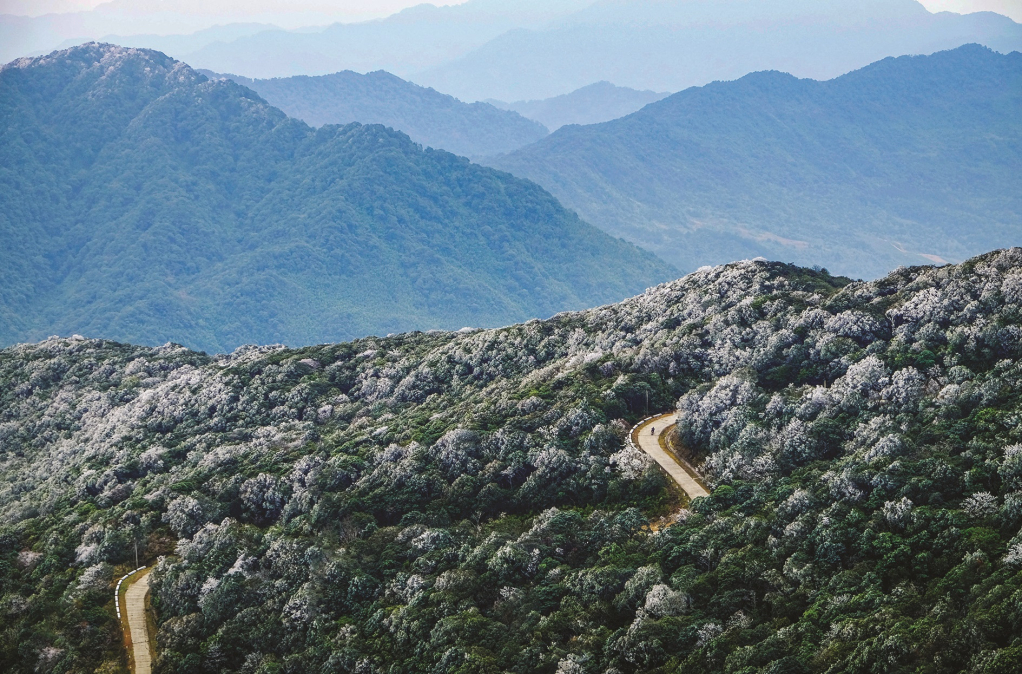 Phia Oắc National Park