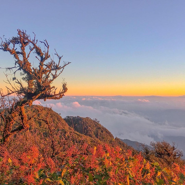 Phia Oắc National Park