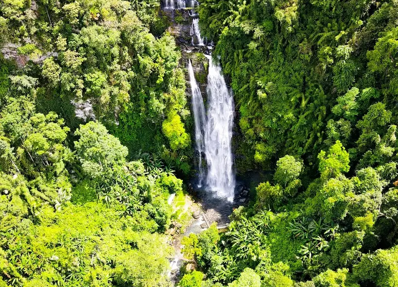 Pù Mát National Park