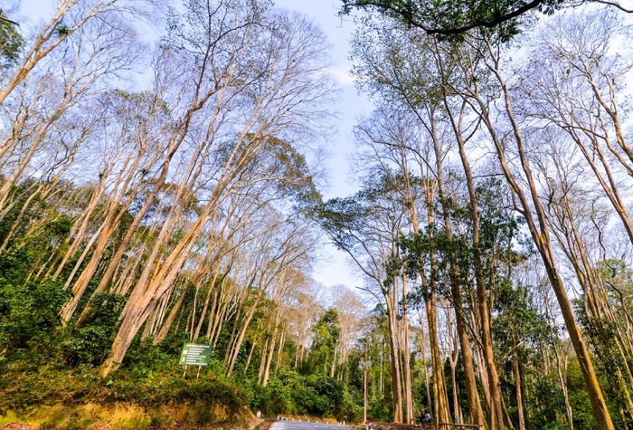 Pù Mát National Park